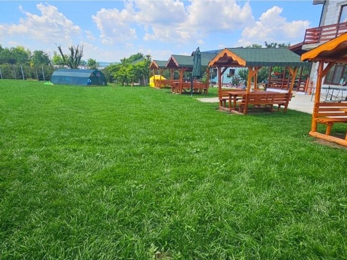 Colt De Rai Bed & Breakfast Hirtoape Ngoại thất bức ảnh